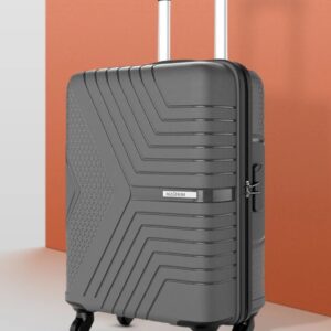 Safari skybags