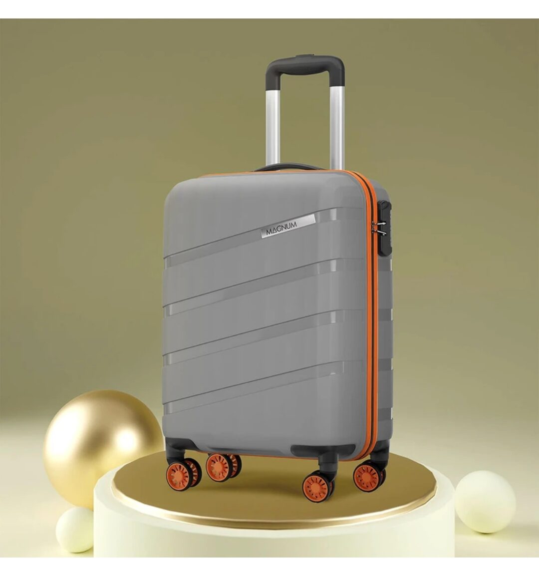 Safari skybags