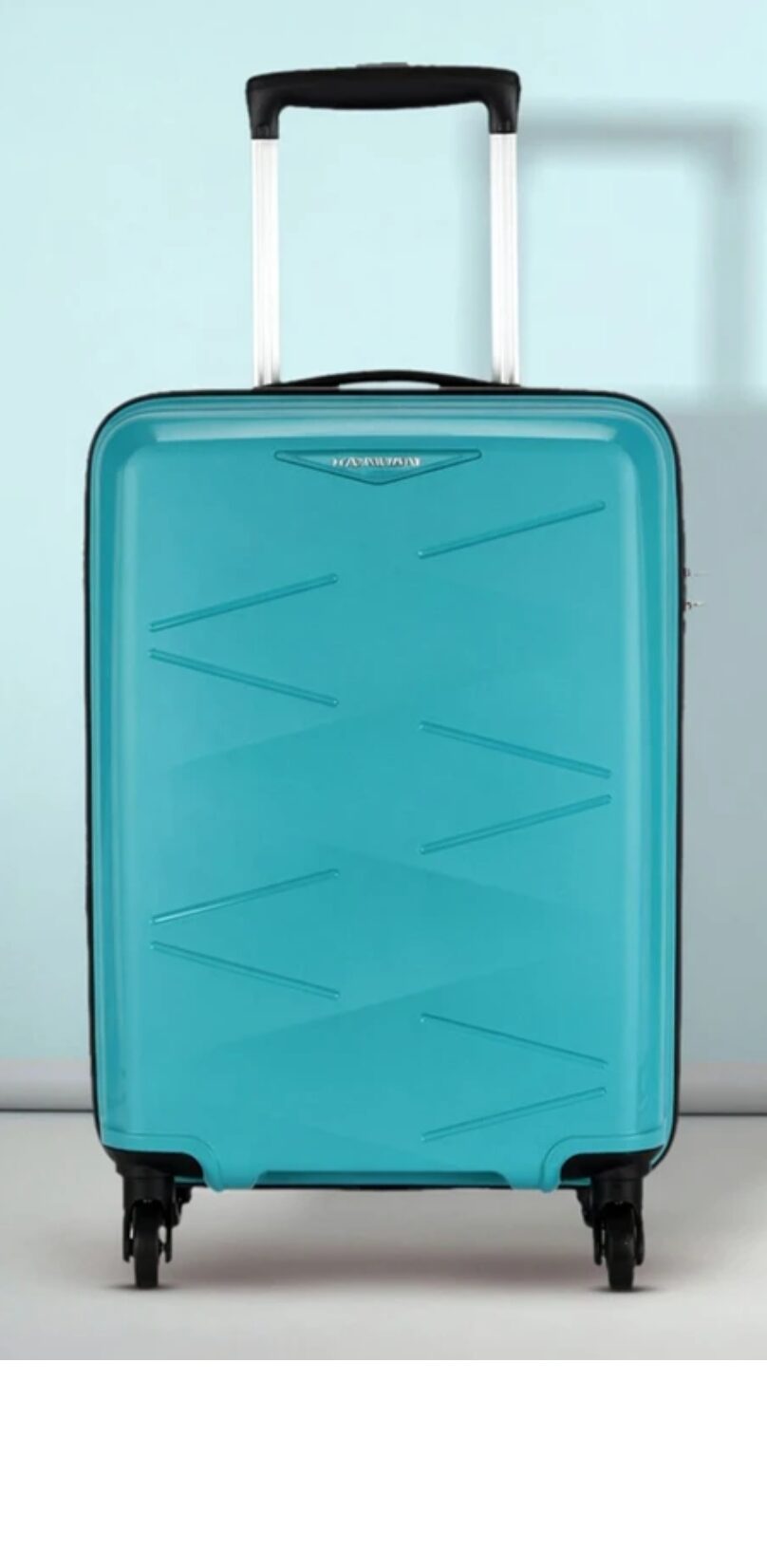 Safari skybags